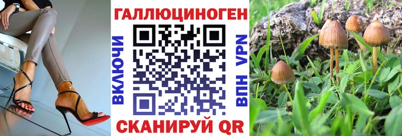 Купить закладки  Краснокаменск  Галлюциногенные грибы Psilocybe 